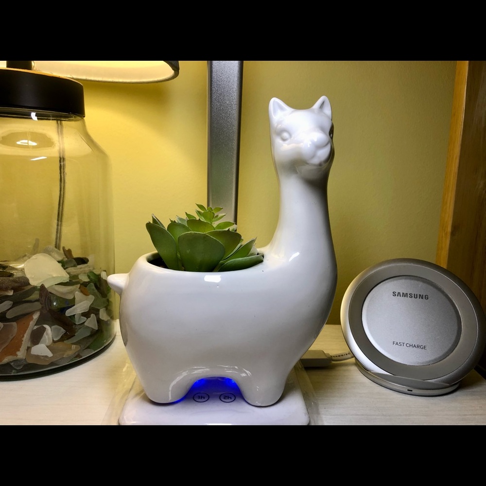 White Ceramic Llama Artificial Succulent Plant